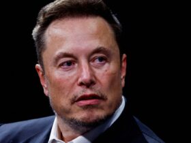 Elon Musk vs. the Administrative State