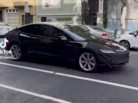 Tesla Model 3 Performance resfresh spotted in the wild