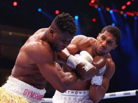 Anthony Joshua Destroys Francis Ngannou With Statement KO (VIDEO)