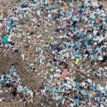 Microplastics In Arteries Heighten Heart Attack And Stroke Risk, Study Warns