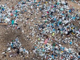 Microplastics In Arteries Heighten Heart Attack And Stroke Risk, Study Warns