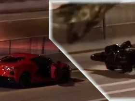 Teen Driver Going 155 MPH In Brand-New Corvette C8 Kills Ex-Cop On Motorcycle