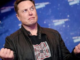 Tesla stock is plunging back to earth because Elon Musk has too many unfinished projects, investor Ross Gerber says